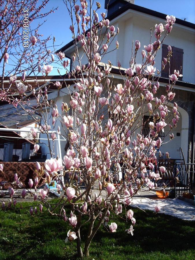 B&B Le Rondini Cassanesi 外观 照片
