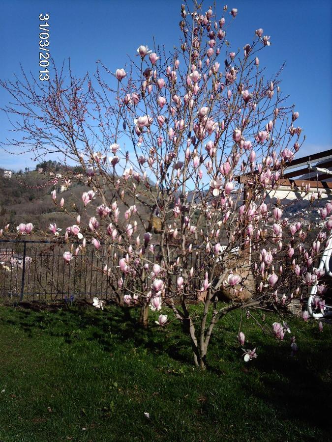 B&B Le Rondini Cassanesi 外观 照片